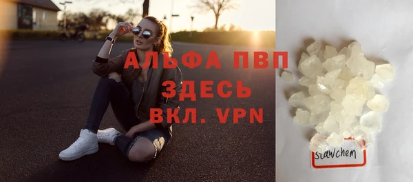 эйфоретик Бородино