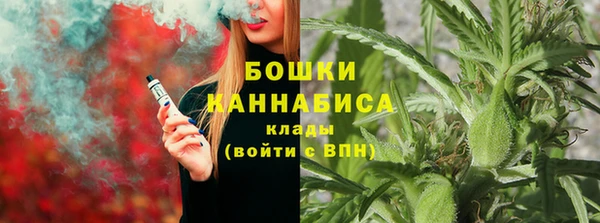 амф Бронницы