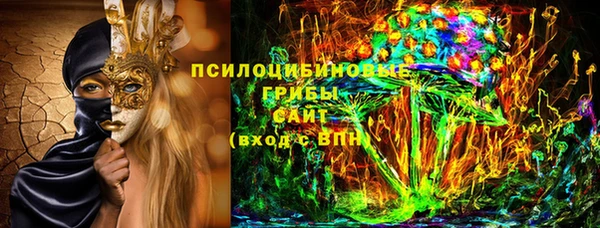 амф Бронницы