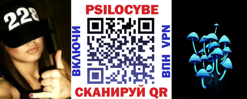 Галлюциногенные грибы Psilocybe  Купить  Грязовец 